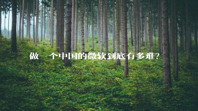 做一个中国的微软到底有多难？