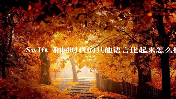 Swift 和同时代的其他语言比起来怎么样？