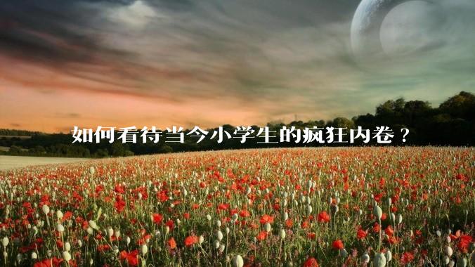 如何看待当今小学生的疯狂内卷?