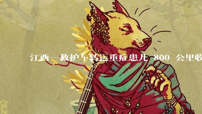 江西一救护车转运重症患儿 800 公里收 28000 元遭质疑，争议点是什么？哪些信息值得关注？