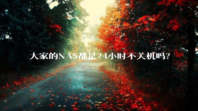 大家的NAS都是24小时不关机吗？