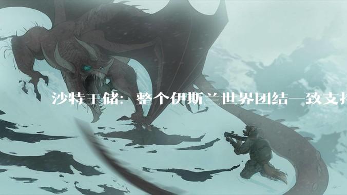 沙特王储：整个伊斯兰世界团结一致支持伊朗，你怎么看？