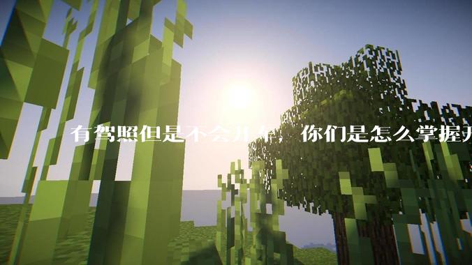 有驾照但是不会开车，你们是怎么掌握开车的熟练技术的？