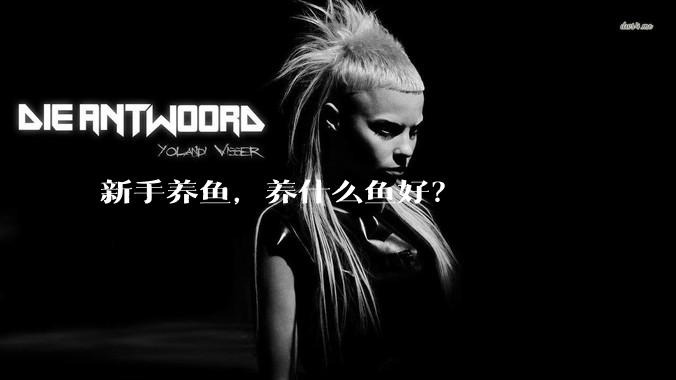 新手养鱼，养什么鱼好？