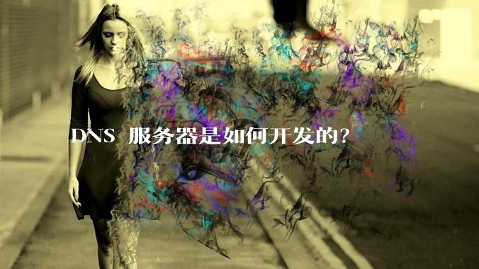 DNS 服务器是如何开发的？
